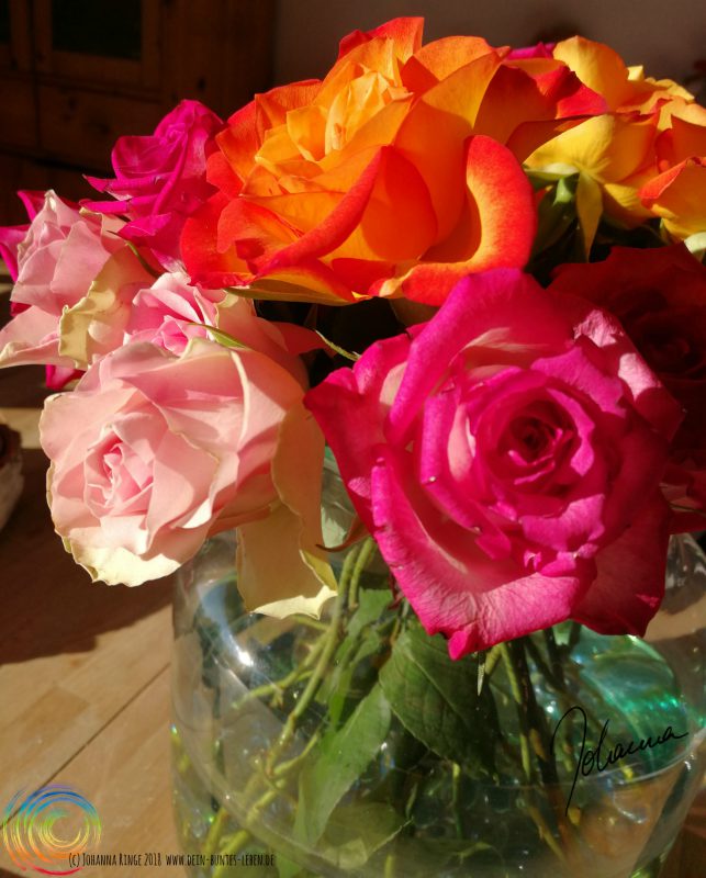 Roses in the sun. Foto eines Straußes aufgeblühter, voller, bunter Rosen, gebadet in Sonnenstrahlen. (c) Johanna Ringe 2018 www.dein-buntes-leben.de