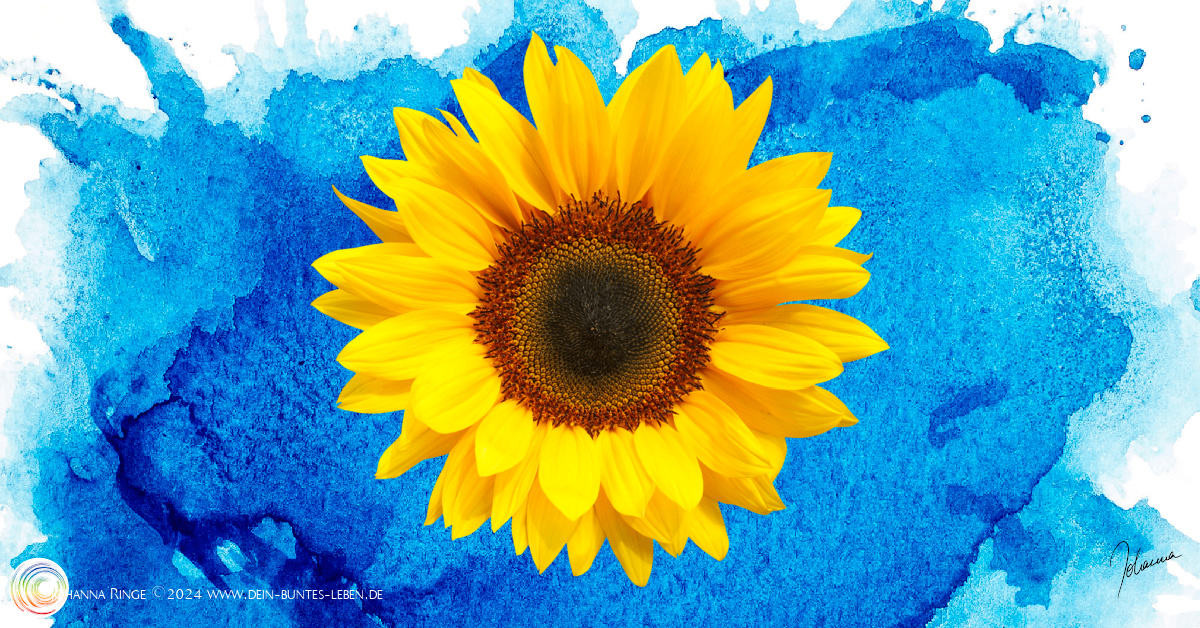 Sommerpause / Summer break (photo einer prächtigen Sonnenblume vor leuchtend blauem Aquarellhintergrund) ©Johanna Ringe 2024 www.dein-buntes-leben.de