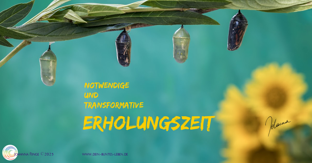Notwendige und transformative Erholungszeit (Text auf Photo von Schmetterlingskokons an einem Ast) ©Johanna Ringe 2025 www.dein-buntes-leben.de